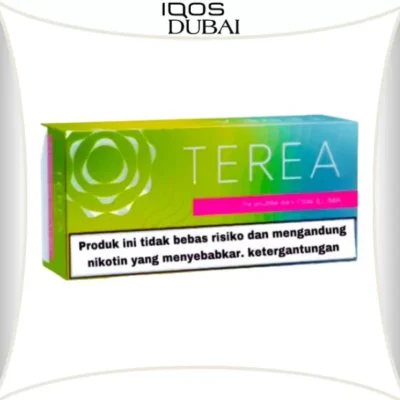 TEREA BRIGHT WAVE INDONESIA