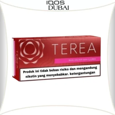 TEREA SIENNA INDONESIA